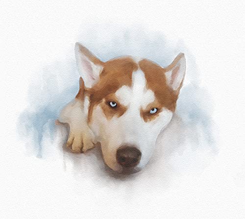 Sevimli Sibirya Husky Hediyeler İçin Köpek Sahibi, Sibirya Husky Dekor Köpek Suluboya Duvar Sanatı, Husky Duvar Sanatı Köpek