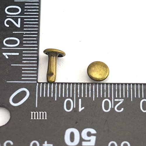 Fenggtonqıı Bronz Çift Kap Deri Perçinler Boru Şeklindeki Metal Çiviler Kap 6mm ve Sonrası 8mm Paketi 300 Takım