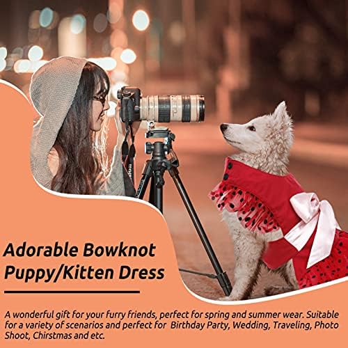 JUDYBRİDAL Tutu Köpek Prenses Elbise, Pet Köpek Polka Köpek Etek İlmek ile, sevimli Bahar Yaz Köpek Parti Kostümleri Giysi Küçük