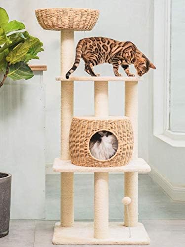 WYJW-Kedi Tırmanma Ağacı Kedi Ağacı Sisal Kaplı Mesajları ile Bahar Topu ve Asılı Top, 55.9 inç Kağıt Halat Yavru Kınamak Oyun