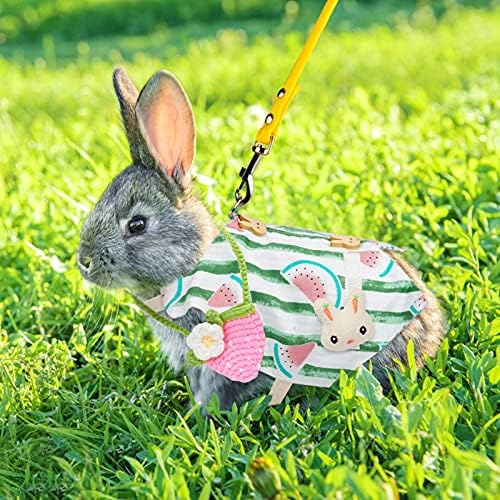 2 Takım Pet Tavşan Elbise, Nefes Küçük Hayvan Koşum Yelek ve Yelek Tavşan Koşum ve Tasma için Pet Kostüm Tavşan Kirpi Gelincik