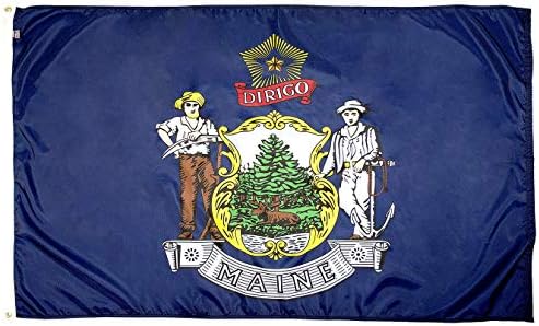FlagSource Maine Naylon Devlet Bayrağı, ABD'de yapılan, 3x5'