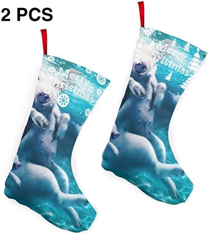 Dcehgew Yüzme Domuzlar Baskılı Klasik Noel Çorap 2 Set,Aile Tatil Noel Partisi Süslemeleri için 10 İnç