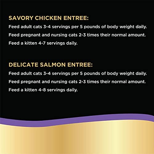 Yavru Kedi ve Yetişkin Kediler için Lezzetli ve Sağlıklı Islak Kedi Maması Çeşitliliği-Premium Somon ve Tavuk Aroması-Kediler