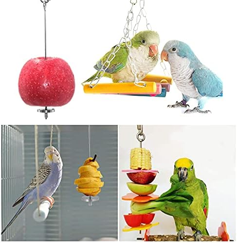 Mikro Tüccarlar 2X Papağan Şiş Kuş Gıda Tutucu Paslanmaz Çelik 304 Papağan Meyve holdertoy Toplayıcılık Asılı Gıda Besleme Aracı