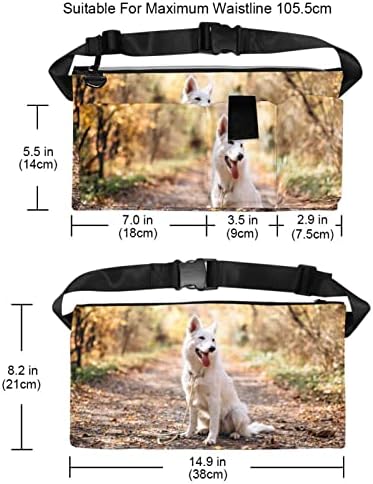 RysgdsE Köpek Tedavi Eğitim Kılıfı, Sonbahar Sevimli Beyaz Köpek Tedavi Çanta için Köpek Eğitim, eller Serbest bel kemeri Fanny